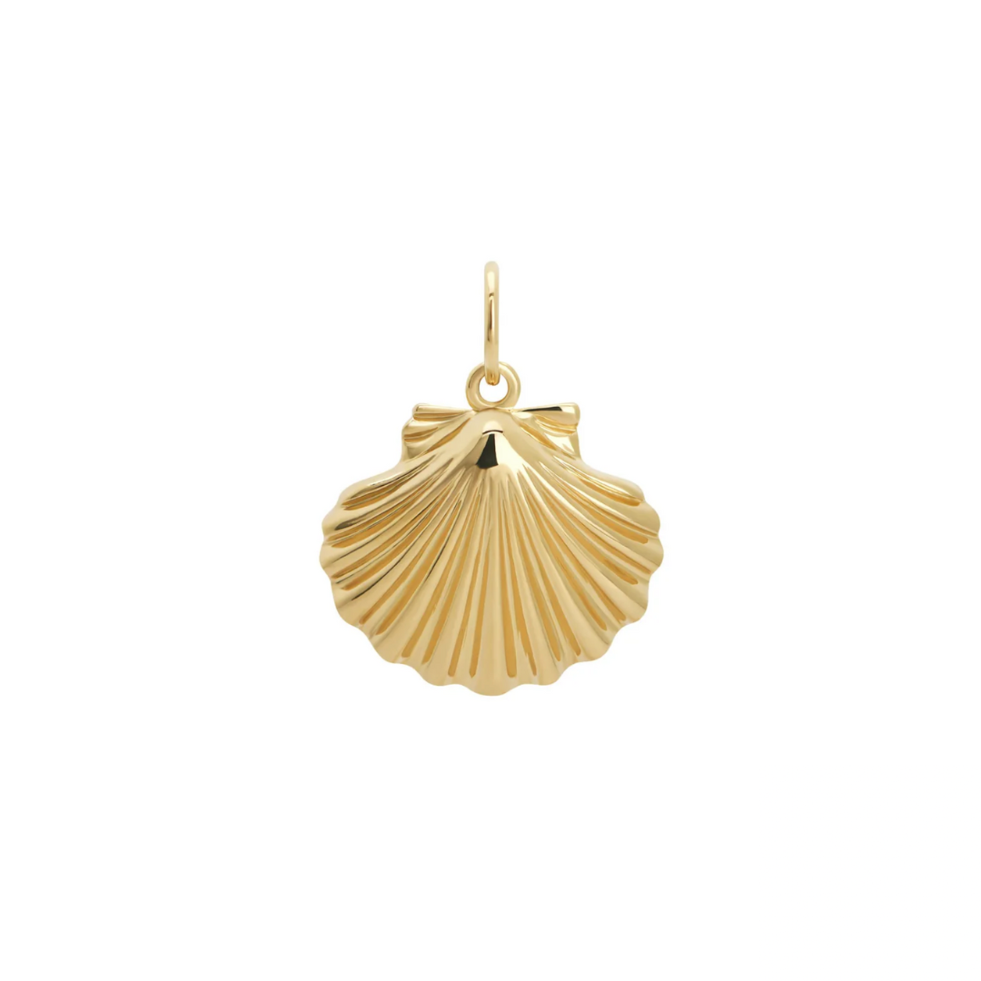Shell Real Charms Shell Charm