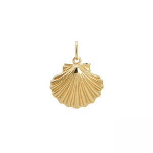 Shell Charm