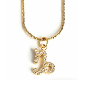 Zodiac Necklace