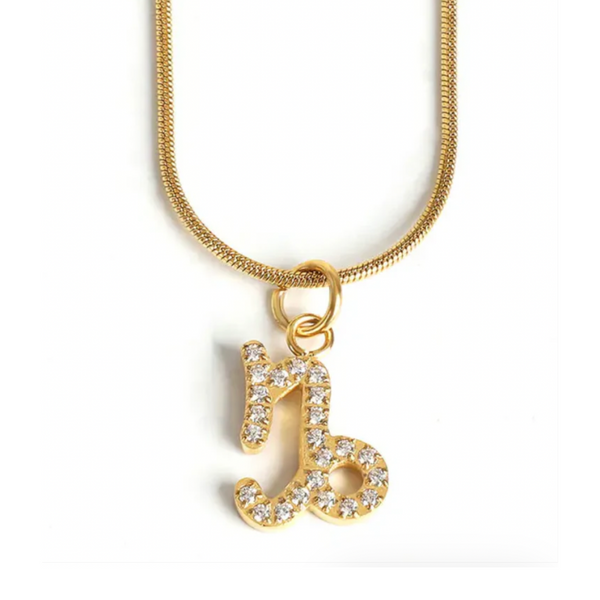 Zodiac Necklace