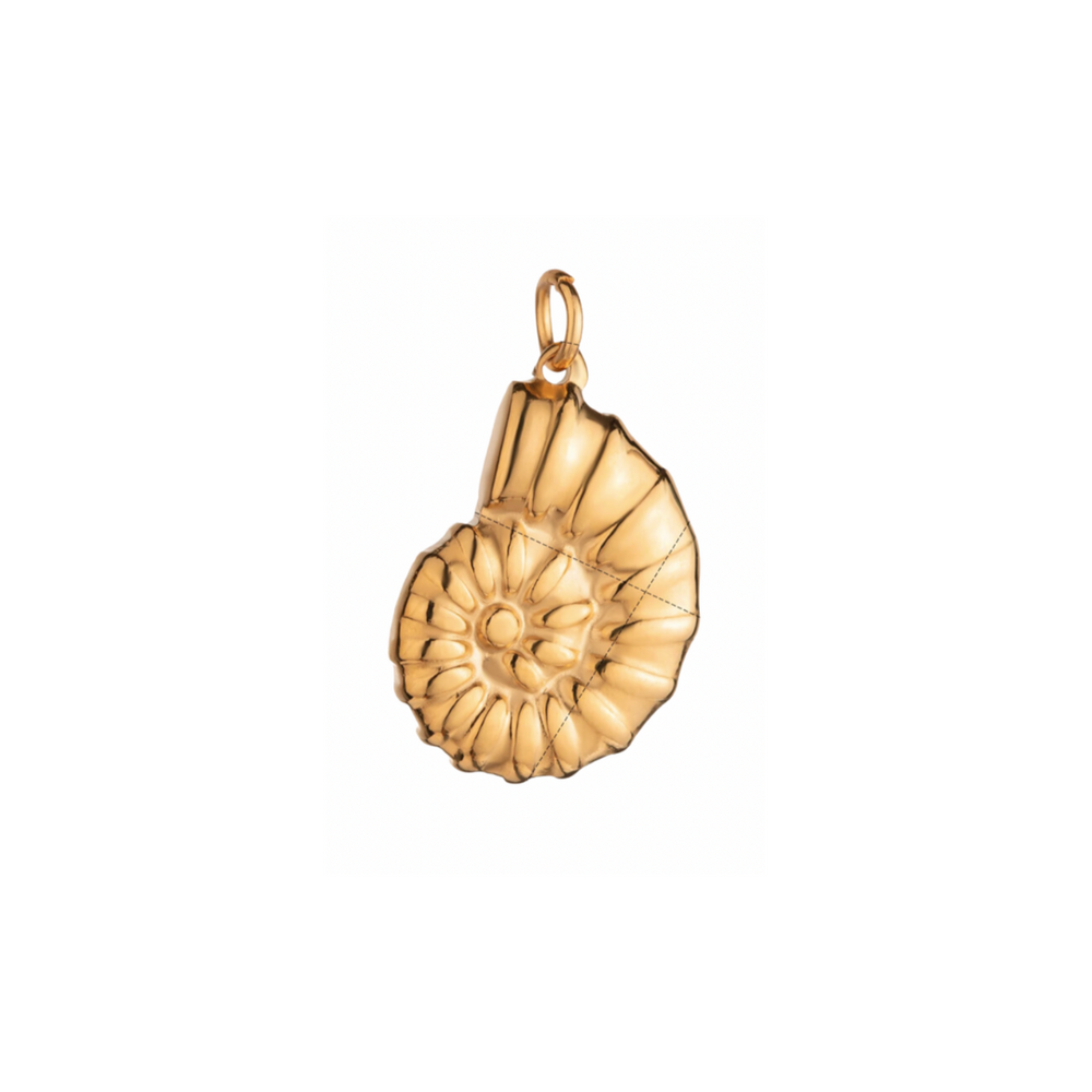 Seashell charm