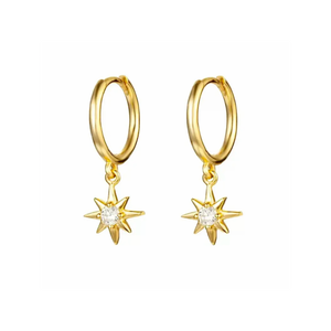 Arctic Earrings