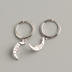 Antartica Earrings
