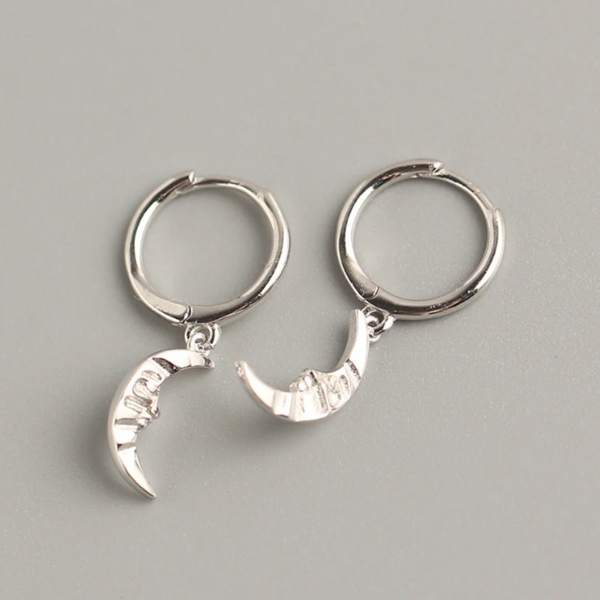 Antartica Earrings