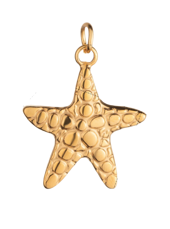 Starfish Charm