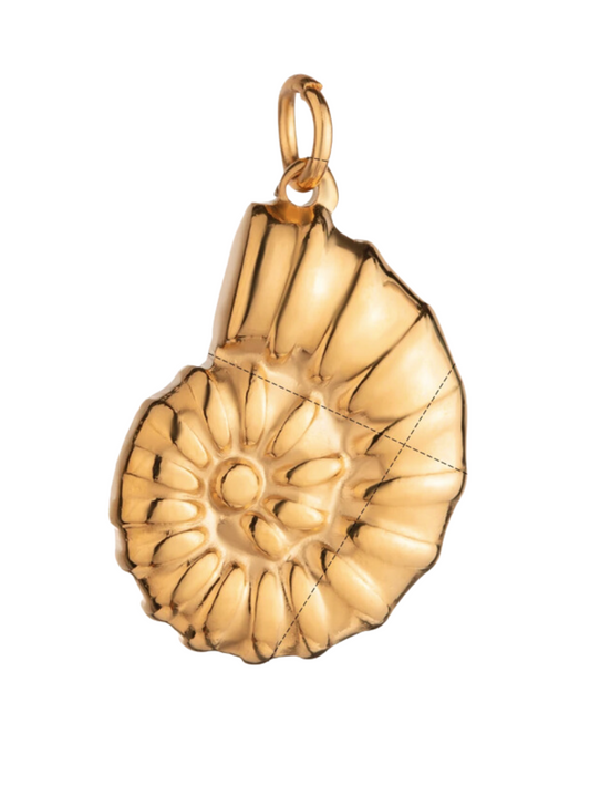 Seashell charm